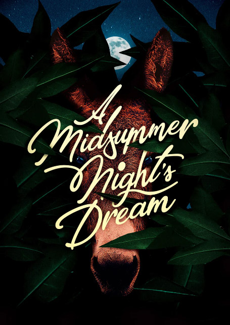 A Midsummer Night’s Dream poster by Shwin