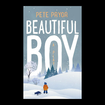 Beautiful Boy book cover by Proi 