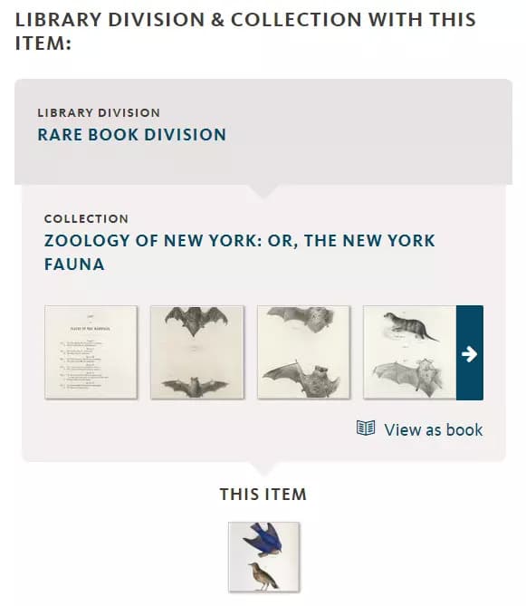 The New York Public Library Digital Collections